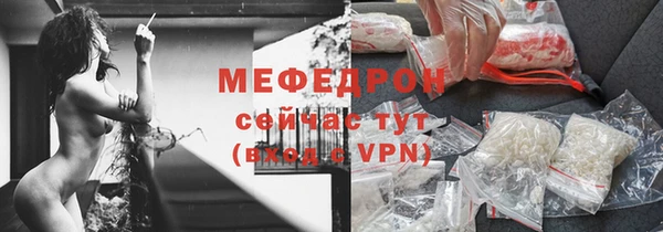 сатива Коряжма