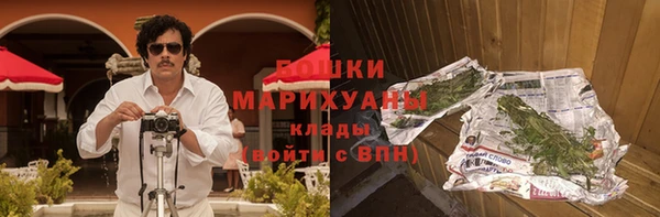 гидра Костерёво