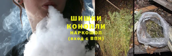 сатива Коряжма