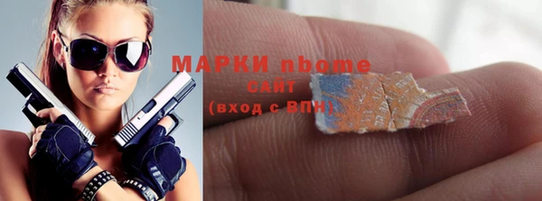 сатива Коряжма