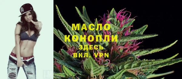 сатива Коряжма