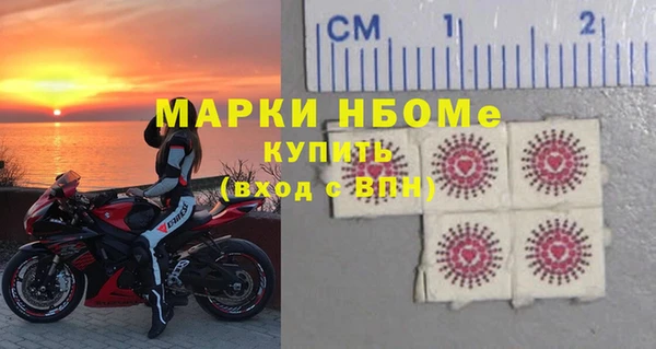 сатива Коряжма