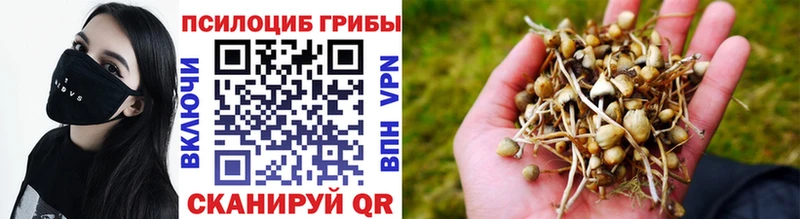 Псилоцибиновые грибы MAGIC MUSHROOMS  Купить  Белоусово 
